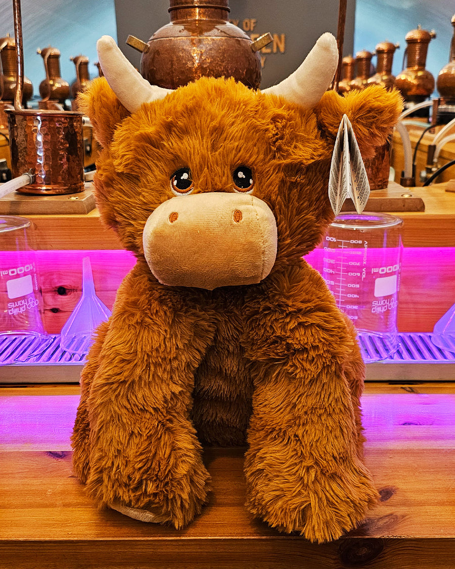 "Ginger" the Highland Coo