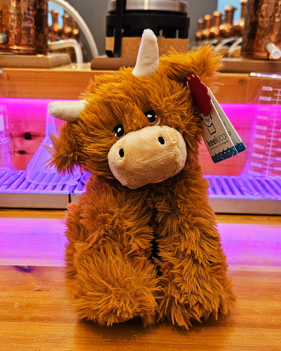 "Ginger" the Highland Coo